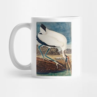 Bird of America  Bird Mug